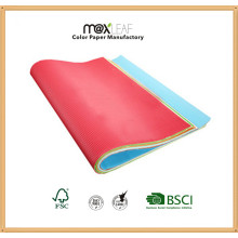 Taille 700 * 1000mm Papier couleur Bristol Borad